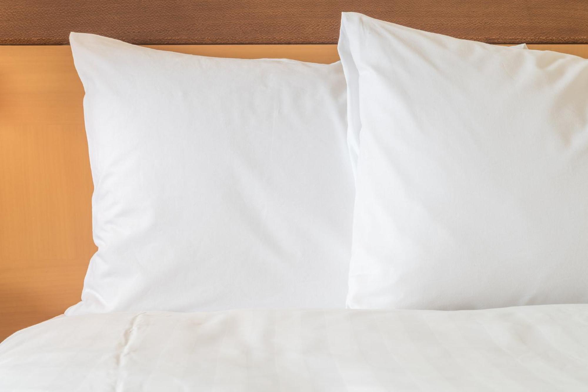 Holiday Inn Express & Suites Tampa Stadium - Airport Area By Ihg Eksteriør bilde